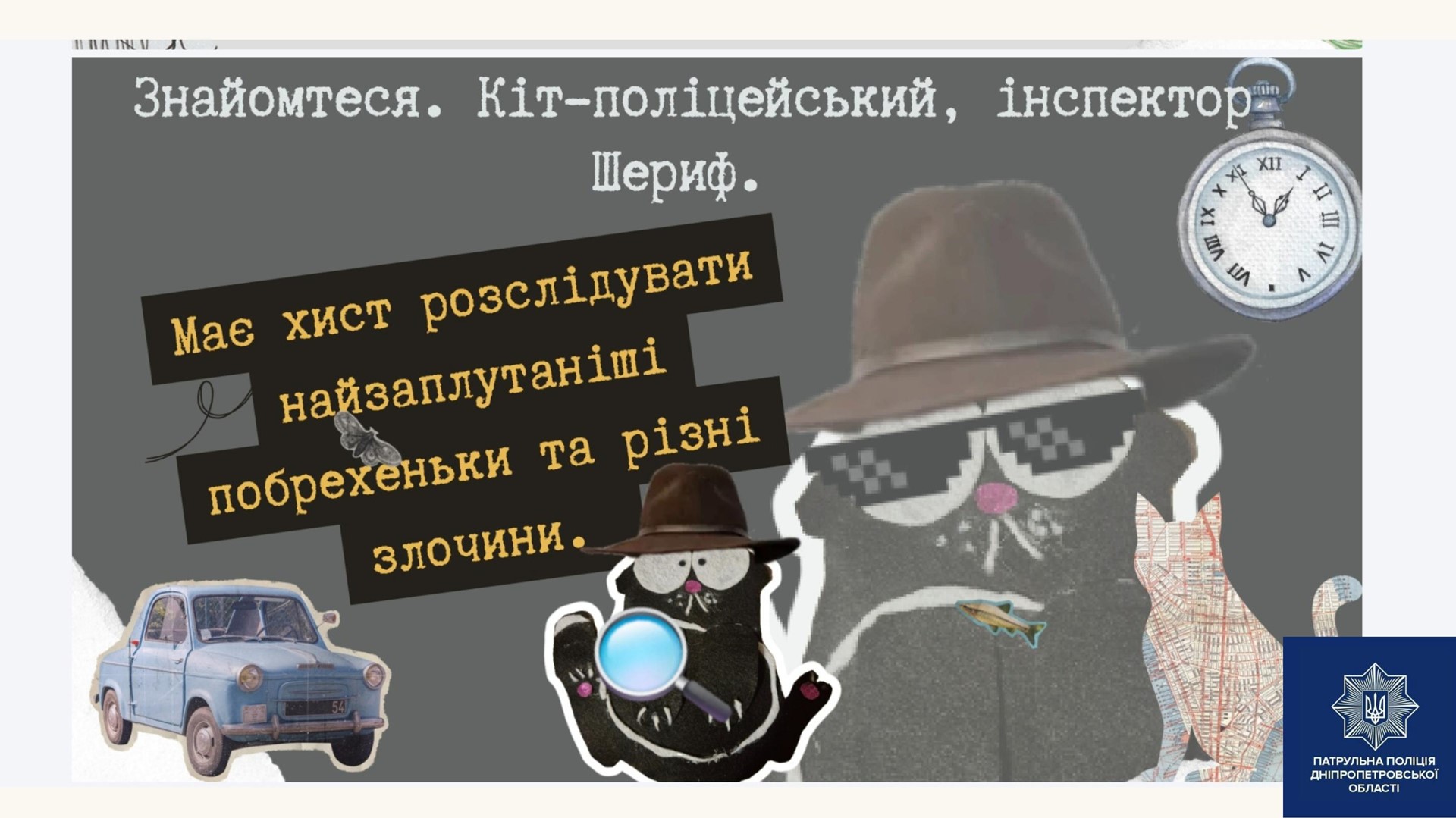 Фото 4 кіт шеріф